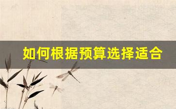如何根据预算选择适合的悦刻relx型号