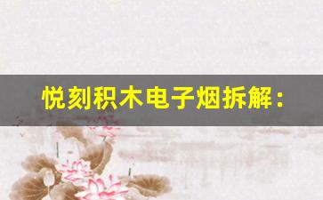 悦刻积木电子烟拆解：内部构造深度解析